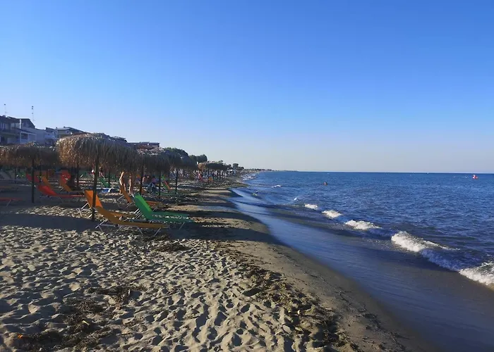 Savvas Olympiakí Aktí